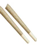 1.5G THCA SUGAR DIAMOND INFUSED PREROLLS | 2CT - The Hemp Doctor Wholesale
