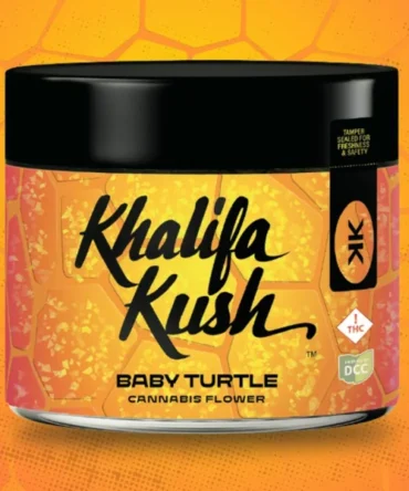 Baby Turtle | Smalls | 14.15g
