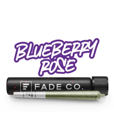 Blueberry Rose Pre-Roll | 2 x 0.5g